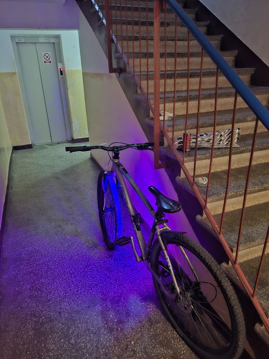 Carpat invictus hardtail