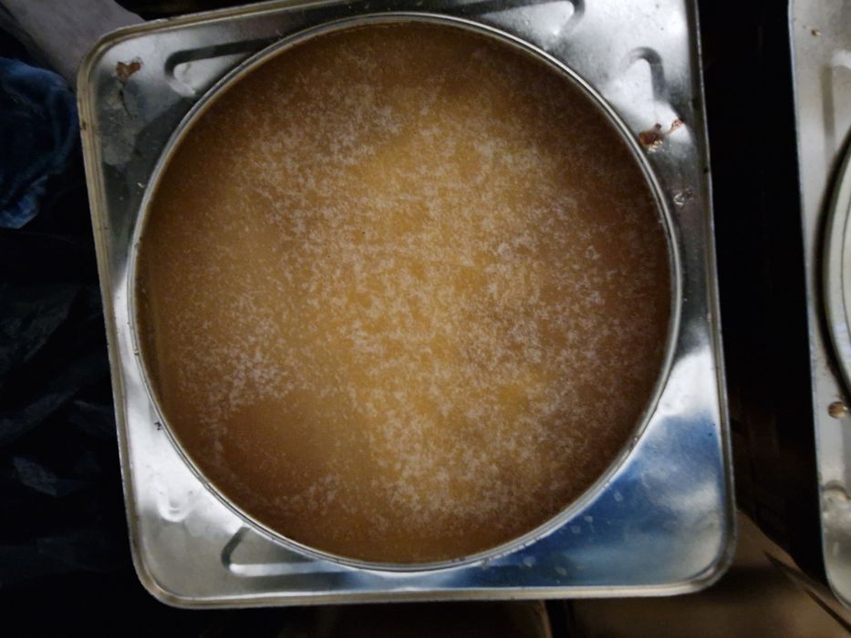 Пчелен билков мед 2025г. Безплатна доставка за Плевен