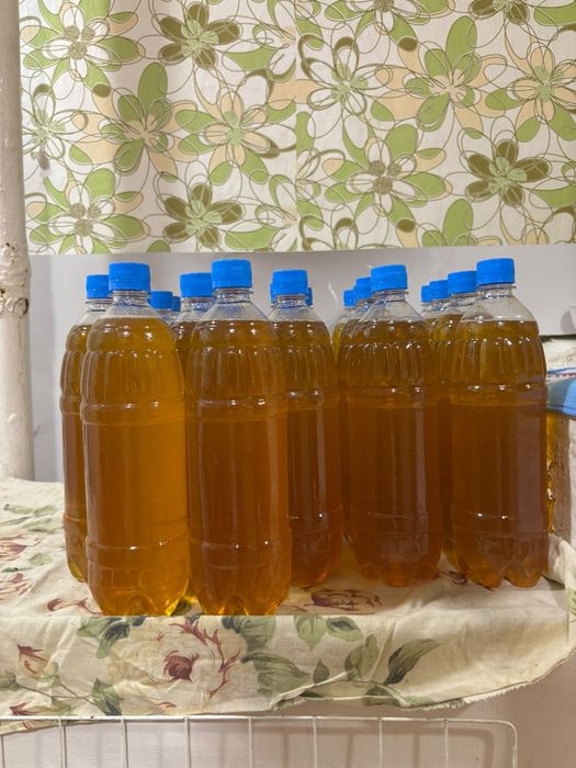 Продам свежий мёд