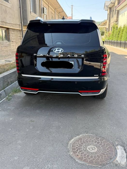 Hyundai palisade calligraphy full
