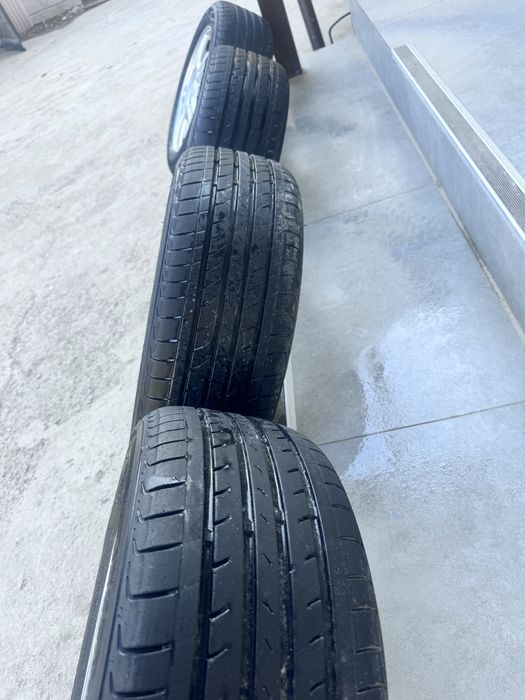 Торус торес торрус торрес 15