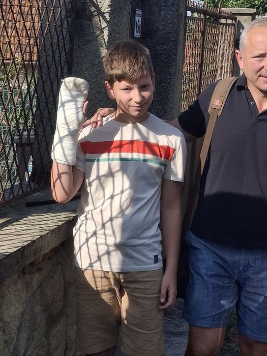 Caramida plina veche