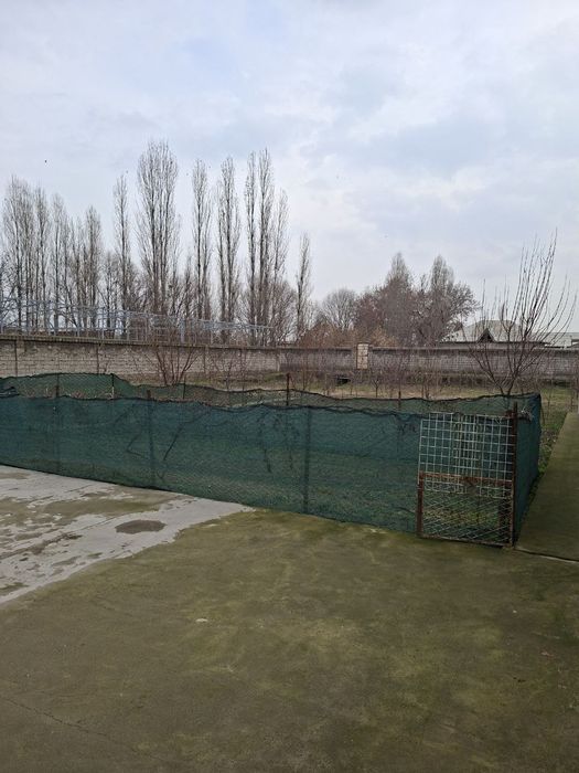 Продаётся свой дом СУРУМ