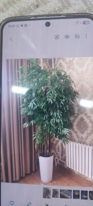 Срочно продам исскуственное дерево