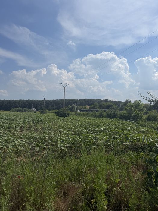 Teren Snagov Ghermanesti Ciofliceni