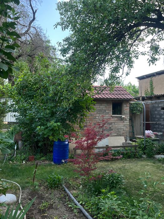 Дачный участок с домом