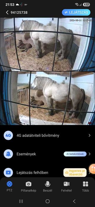 Iapa de vanzare cu manz