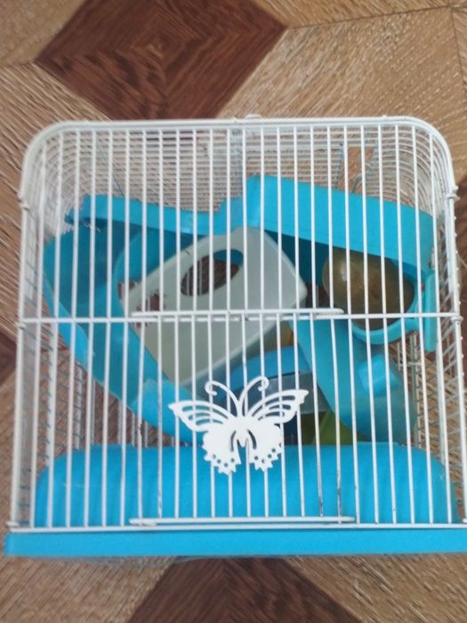 Клетка для хомрв