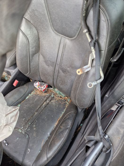 Ford Focus 3 2.0tdci ST Line автоматик на части