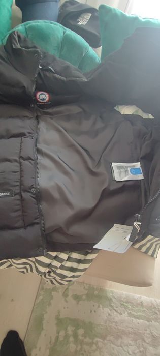 Vesta Canada Goose