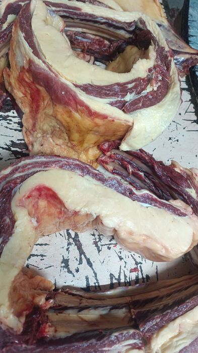 конины даставка бесплатно