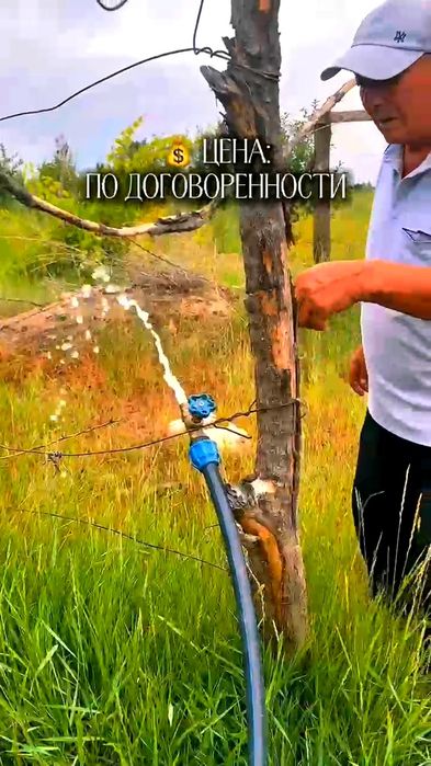 Земельный участок