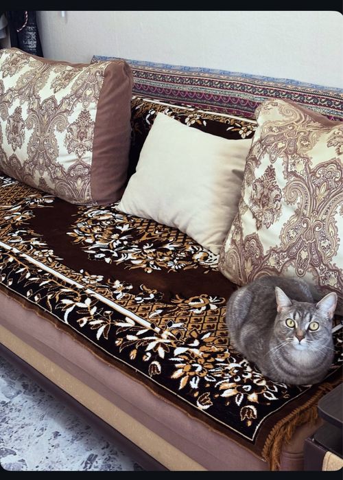 Продам большой Диван