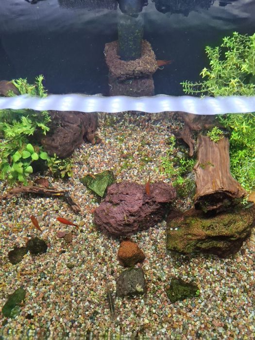 Аквариум 60 литров.