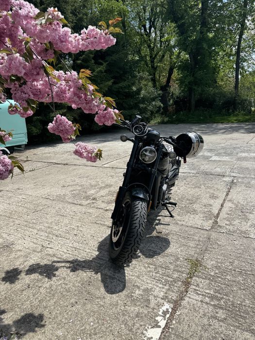 CF MOTO cl-c 450 BOBBER ‘25