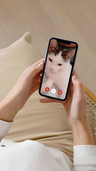 Ласковые нежные котята в добрые руки