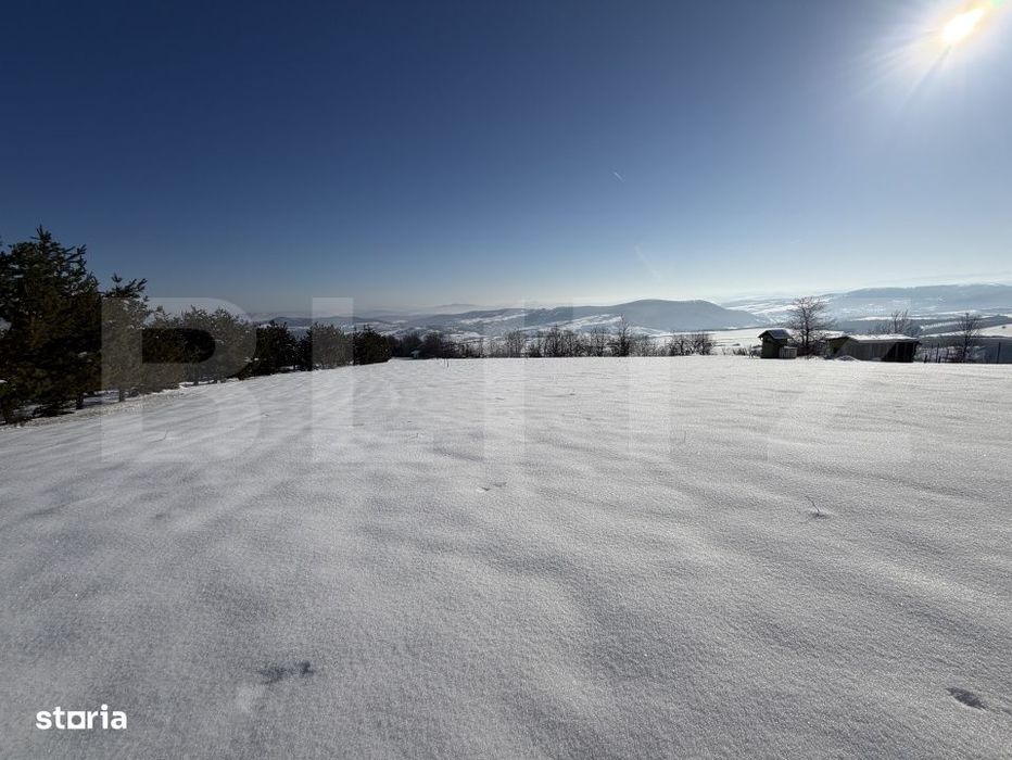 Teren intravilan, 1000 mp, zona Treznea