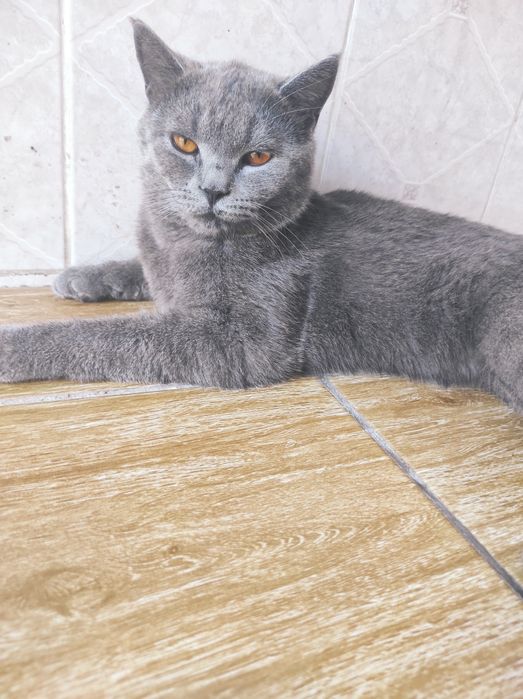 Вязка 300.000сум