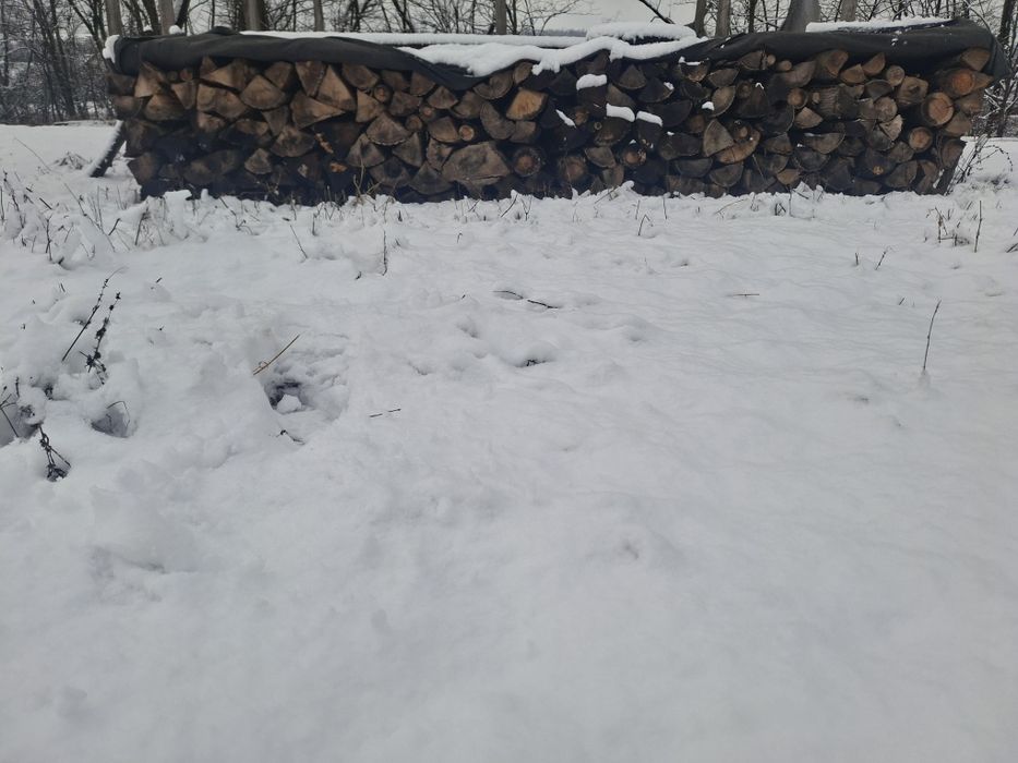 Vand porumb si lemne