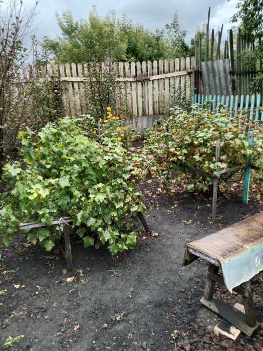 Продам дачу, с/о Эврика