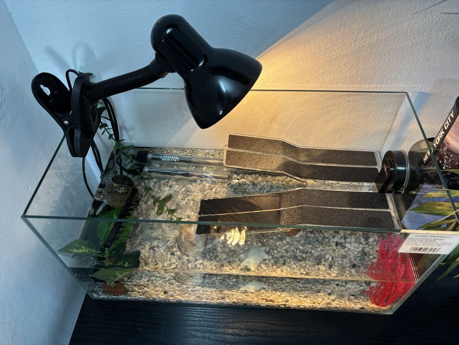 Acvariu broaste testoase/pesti