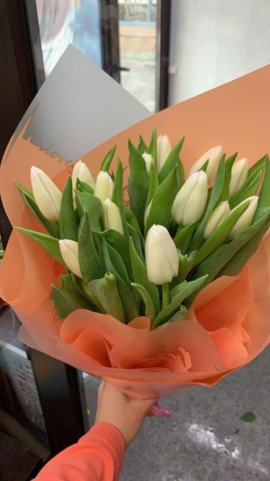 Голландские тюльпаны