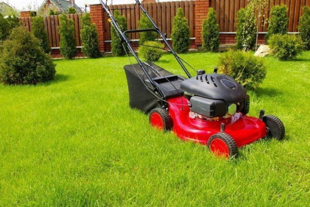 Oʻt oʻrish xizmati usluga kasilka gazon orish