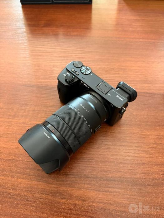 Sony alpha a 6600