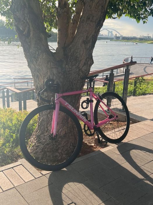 Fixed gear tsunami snm 100