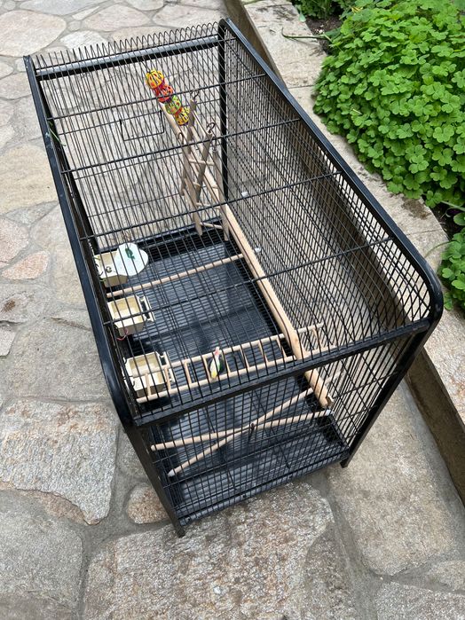 Голяма клетка папагали