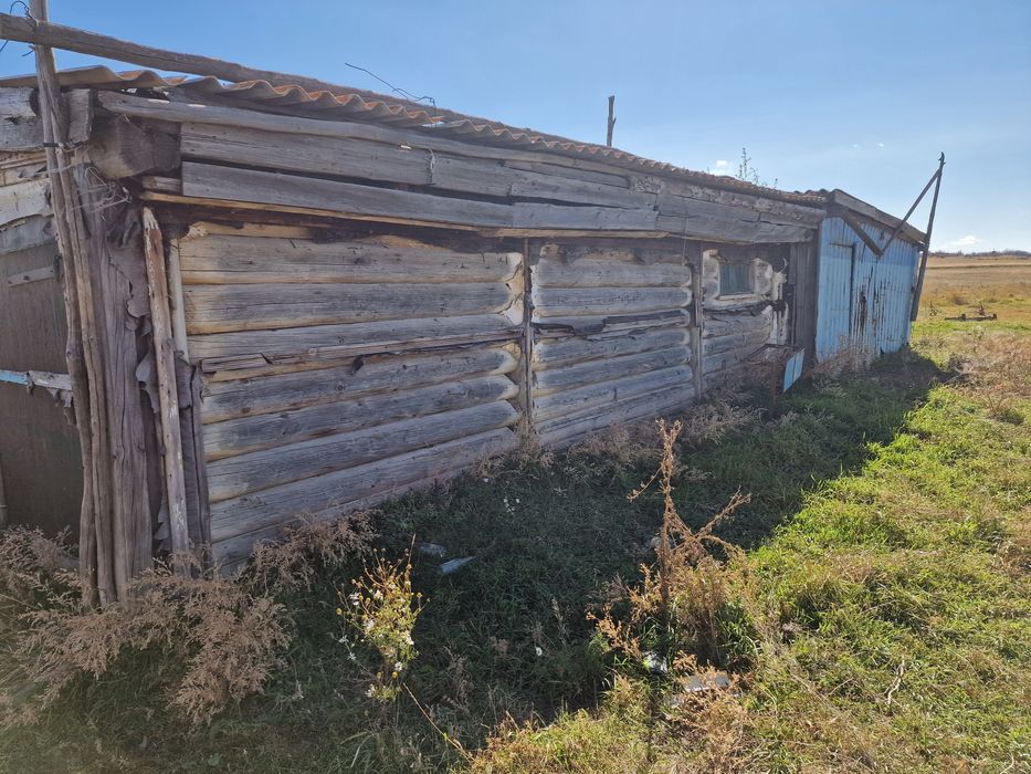 Ассалаумагалейкум