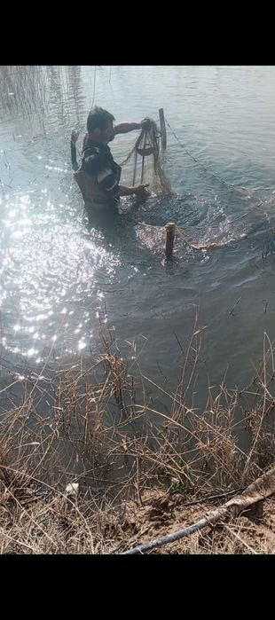 Балки бокадиган кулдан