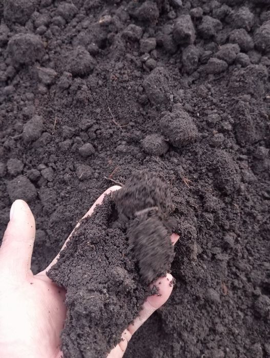 Перегной навоз чернозем Навоз