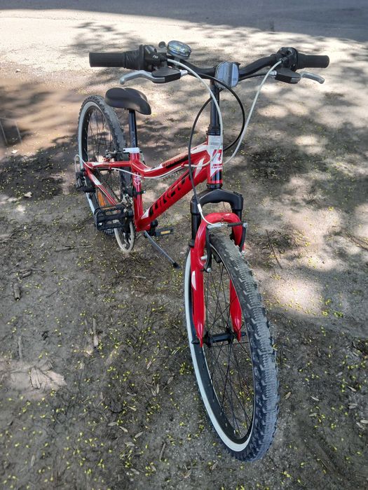 Drag Hardy 24''