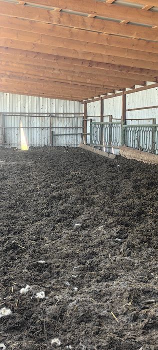 Навоз конский самовывоз