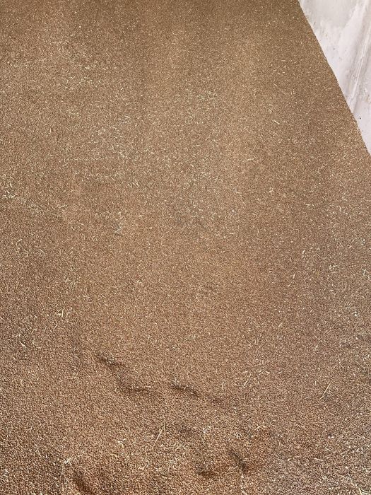 Grau si porumb in cantitati mici si mari