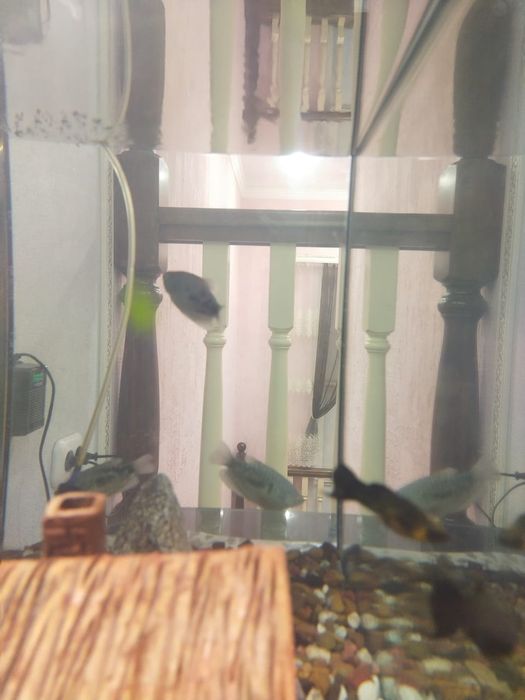 Продам аквариум с подставкой