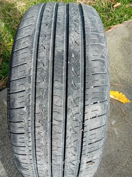 Гума 205 55 16 лятна