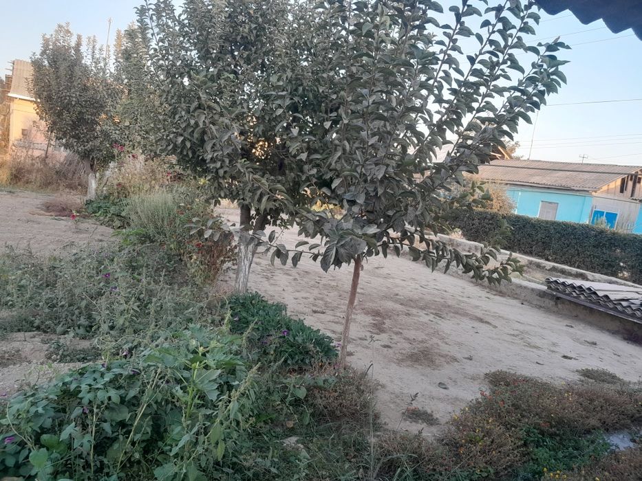 Yer sotiladi 8 sotok