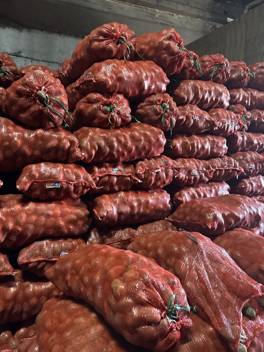 Продажа картофель 150-140 тенге оптом