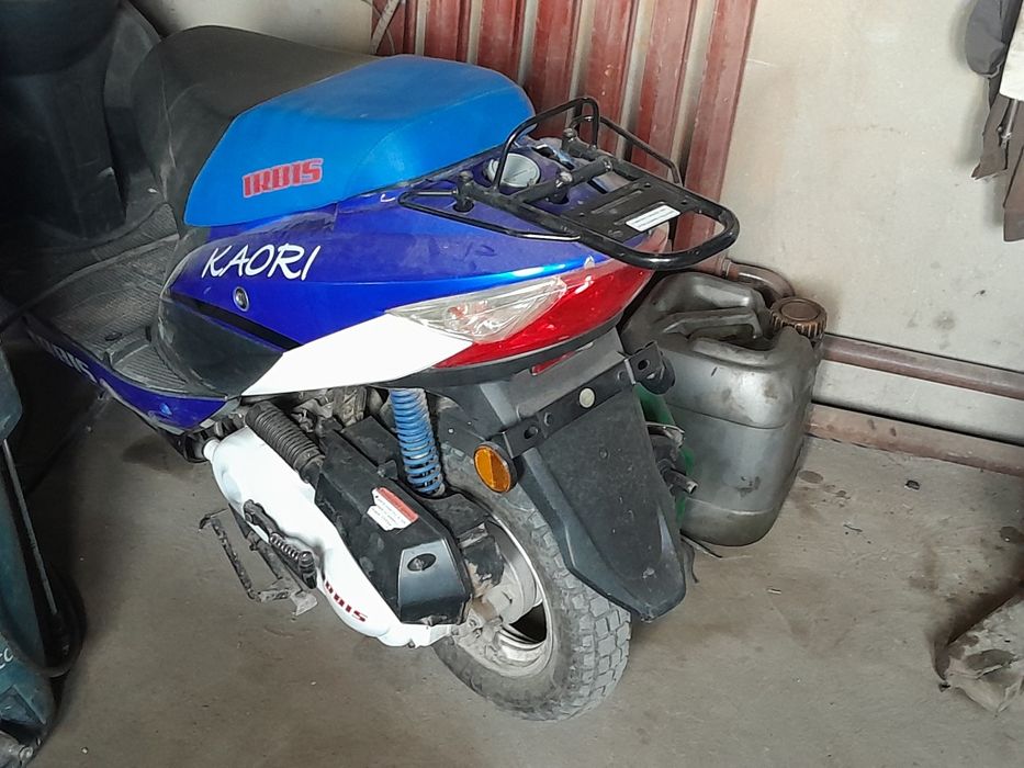 Скутер каури ирбис