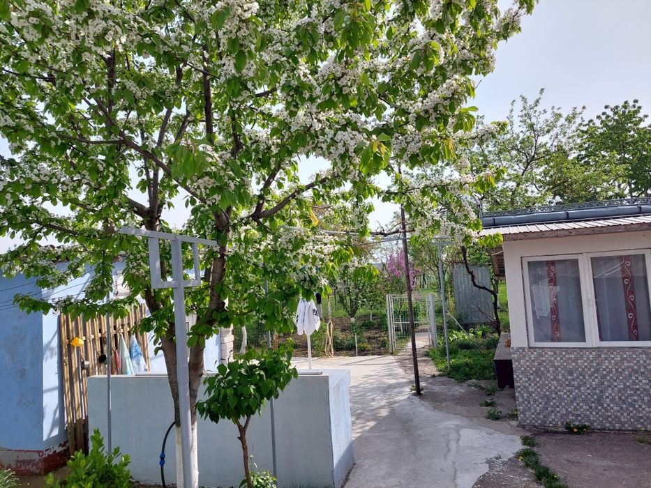vând sau schimb casă