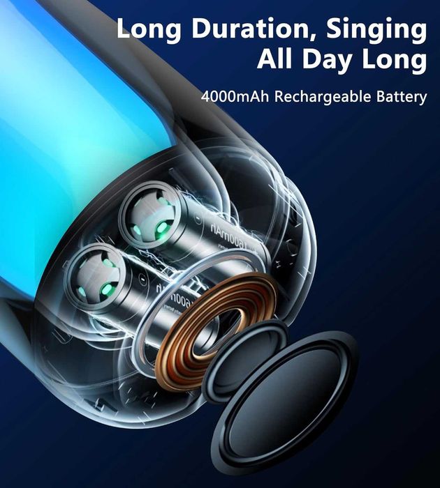 ALPOWL MAIKELU Професионално караоке, караоке 2 микрофона