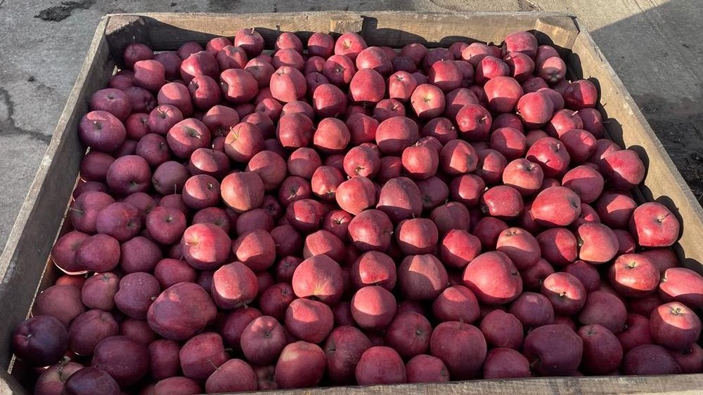 Vand mere Idared si Starkrimson