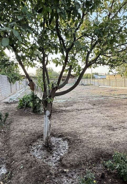 Продается участок 8 соток в Чирчике (Аранча)