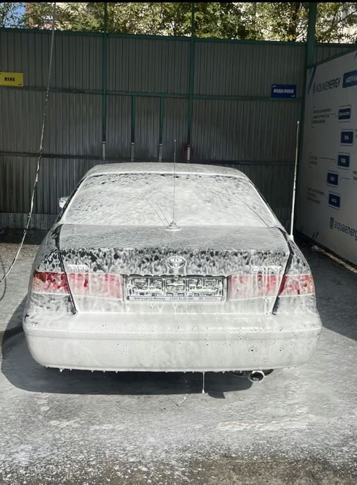 Steffano ricci ремень ПРИОРИТЕТ