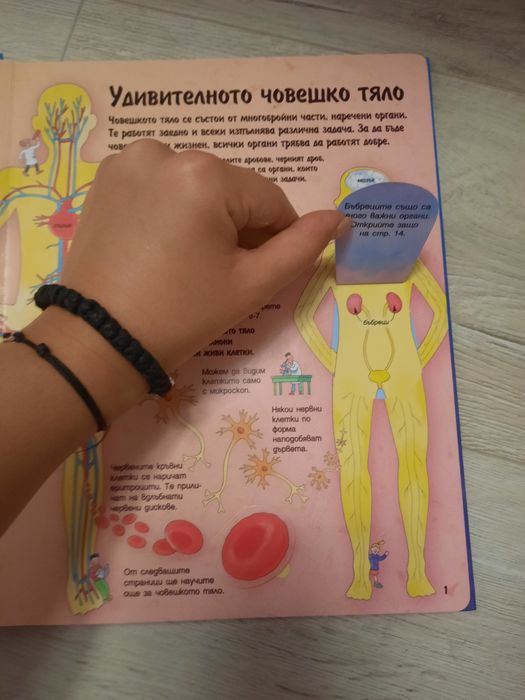 Интерактивна книжка " Човешкото тяло "