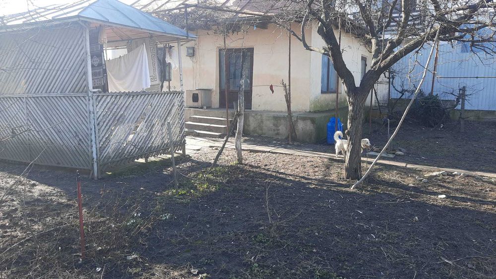 Teren 700 mp strada Tuchiloaia nr 4 casa batraneasca 2 camere Podeni Barlad