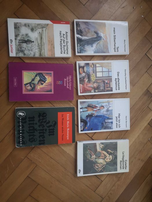 Romane in limba germana