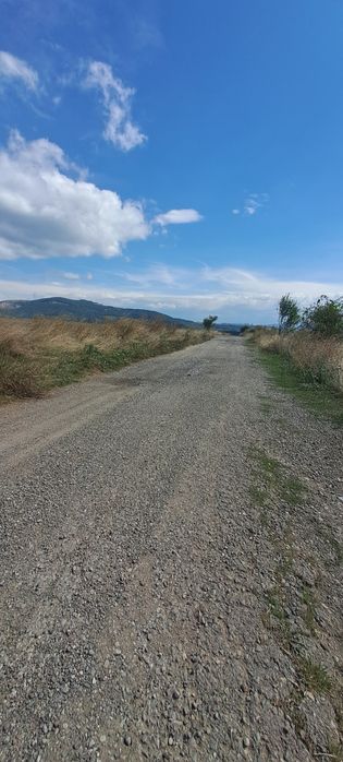 Продава се Земеделски имот в с. Черна гора, Област Перник -  кв.м за 4437 €/дка - Снимка #4